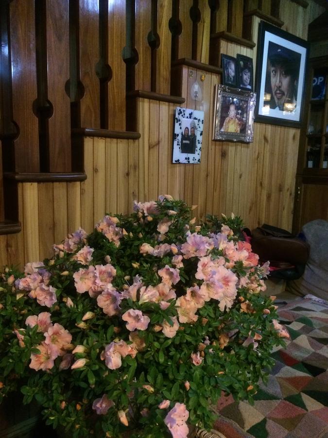 Ngawang Homestay Darjeeling (West Bengal) Exterior foto